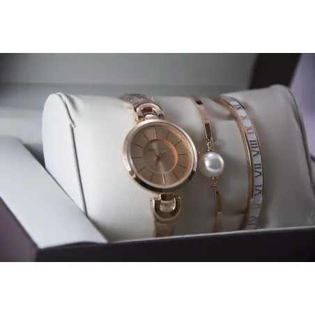 Montre Femme Anne Klein ANNE315 - 