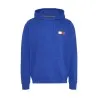Sweatshirt Homme TOMMY HILFIGER DM0DM20738 - TOMMY HILFIGER