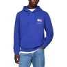 Sweatshirt Homme TOMMY HILFIGER DM0DM20738 - TOMMY HILFIGER