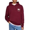 Sweatshirt Homme TOMMY HILFIGER DM0DM20738 - TOMMY HILFIGER