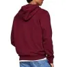 Sweatshirt Homme TOMMY HILFIGER DM0DM20738 - TOMMY HILFIGER