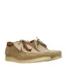 Chaussures Homme CLARKS F76120 - CLARKS