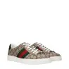 Basket Casual Homme GUCCI F85162 - Gucci