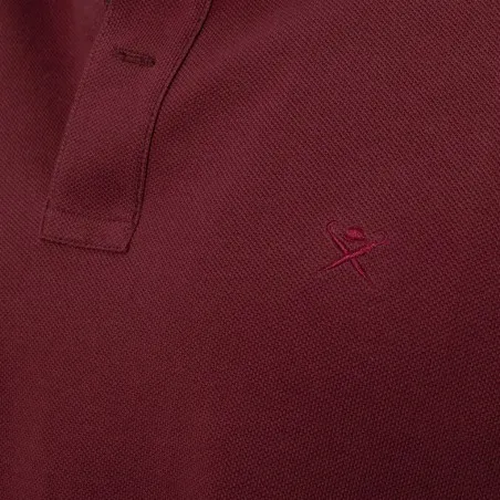 Polo Homme HACKETT HM550899 - HACKETT