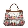 Sacs & portefeuilles Femme Dolce&Gabbana F86995 - Dolce&Gabbana