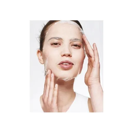 Masque visage Lissant Garnier  PURE ACTIVE - Garnier