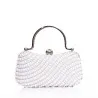 Pochette de Soirée Strass P26-F028 - Seaside