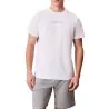 T-shirt Homme CALVIN KLEIN  000NM2748E - CALVIN KLEIN