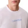 T-shirt Homme CALVIN KLEIN  000NM2748E - CALVIN KLEIN