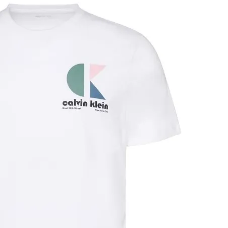 T-shirts Homme CALVIN KLEIN LV04RC843G - CALVIN KLEIN
