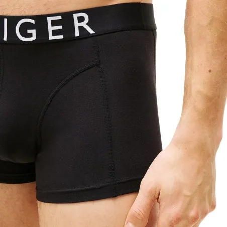 Sous-vêtements Homme TOMMY HILFIGER UM0UM03464 - TOMMY HILFIGER