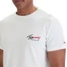 T-shirts Homme TOMMY HILFIGER DM0DM22538 - TOMMY HILFIGER