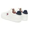 Chaussures Homme TOMMY HILFIGER EM0EM01596 - TOMMY HILFIGER