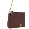 Pinko Mini Double Small Crossbody Bag - PINKO