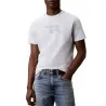 T-shirt Homme CALVIN KLEIN  LV04RG807G - CALVIN KLEIN