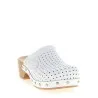 Balenciaga Clog X Scholl Sabots - BALENCIAGA