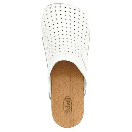 Balenciaga Clog X Scholl Sabots - BALENCIAGA