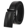 Ceinture En Cuir Homme ALBERTO RICCI  AL8908 - ALBERTO RICCI