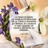 Eau de Toilette Femme YVES SAINT LAURENT LIBREE - Yves Saint Laurent