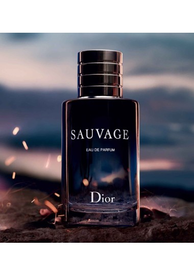 Eau de Toilette Homme DIOR SAUVAGE HOMME Dior - 3
