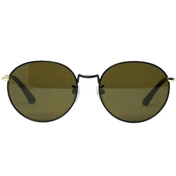 Lunettes de Soleil Homme POLAROID SPL386G 304G