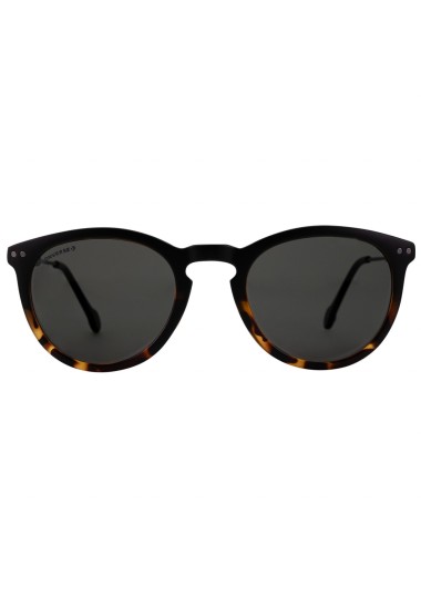 Lunettes de Soleil Homme ALL STAR CONVERSE SCO151Q MBLT  - 1