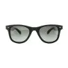 Lunettes de Soleil Homme POLAROID PLD 1016/S - POLAROID