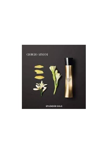 Eau de Parfum Femme GIORGIO ARMANI CODE ABSOLU