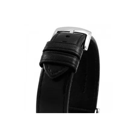Bracelet de Montre EMPORIO ARMANI  AR1733B - Emporio Armani