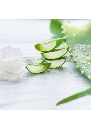 Shampooing Rose Baie ALOE VERA 500ml