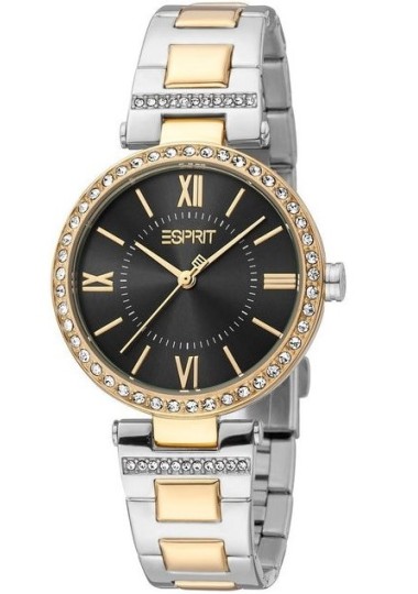 Montre Femme ESPRIT ES1L332M0095