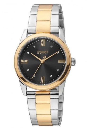 Montre Femme ESPRIT ES1L217M1105