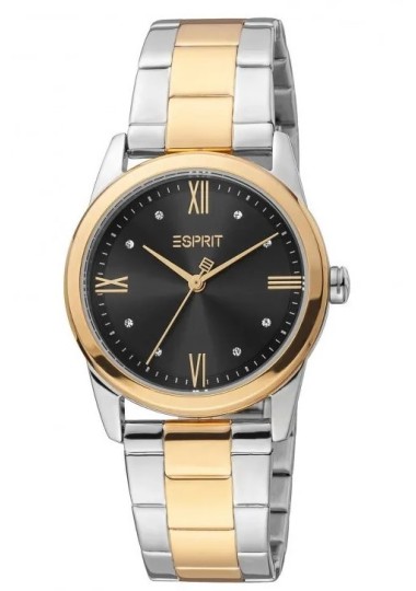 Montre Femme ESPRIT ES1L217M1105 - ESPRIT