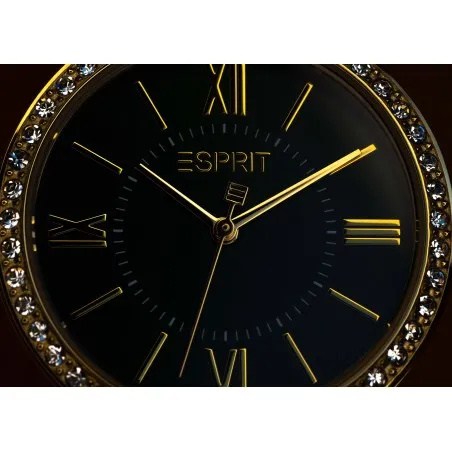 Montre Femme ESPRIT ES1L332M0095 - ESPRIT