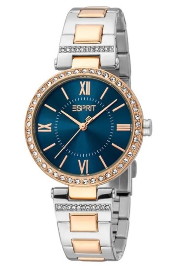 Montre Femme ESPRIT ES1L332M0105 ESPRIT - 1