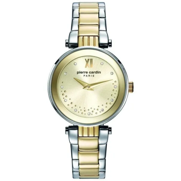 Montre Femme PIERRE CARDIN PC108062F06