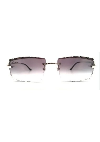 Lunettes de Soleil Unisex CARTIER CT02810 CARTIER - 1