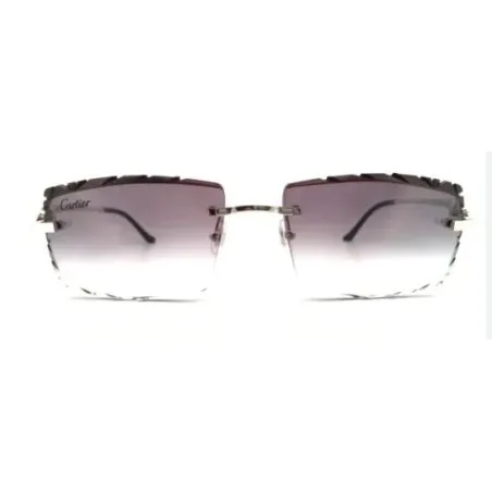 Lunettes de Soleil Unisex CARTIER CT02810 - CARTIER