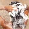 Shampoing ROSE BAIE  SHAMPOOING KÉRATINE COCO - ROSE BAIE