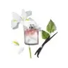LAIT DE CORPS LANCOME - LANCOME