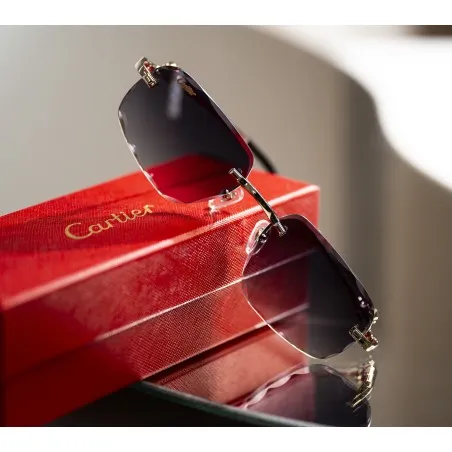 Lunettes de Soleil Homme CARTIER CT0281O - CARTIER