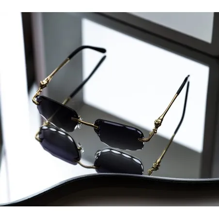 Lunettes de Soleil Homme CARTIER CT0281O - CARTIER