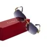 Lunettes de Soleil Homme CARTIER CT0281O - CARTIER