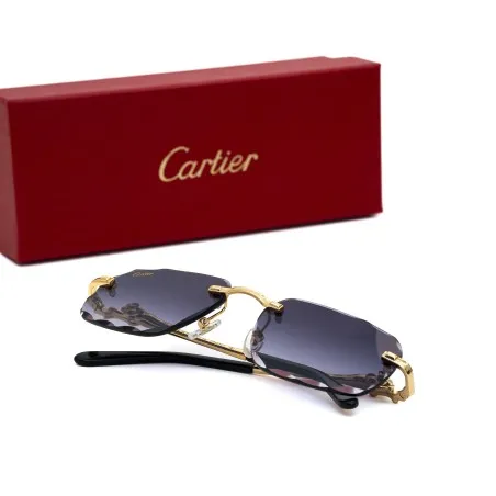 Lunettes de Soleil Homme CARTIER CT0281O - CARTIER
