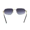 Lunettes de Soleil Homme CARTIER CT0281O - CARTIER