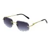 Lunettes de Soleil Homme CARTIER CT0281O - CARTIER