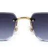Lunettes de Soleil Homme CARTIER CT0281O - CARTIER