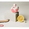 NINA RICCI NINA FLEUR EAU DE TOILETTE GIFT SET - NINA RICCI