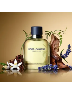 DOLCE & GABBANA POUR HOMME - EAU DE TOILETTE - Dolce&Gabbana