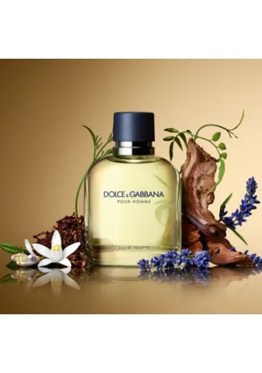 DOLCE & GABBANA POUR HOMME - EAU DE TOILETTE - Dolce&Gabbana